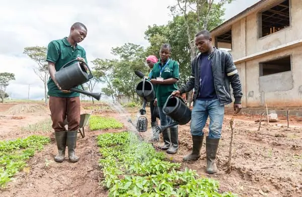 Landwirtschaftsschule Tansania – Schüler wässern Jungpflanzen
