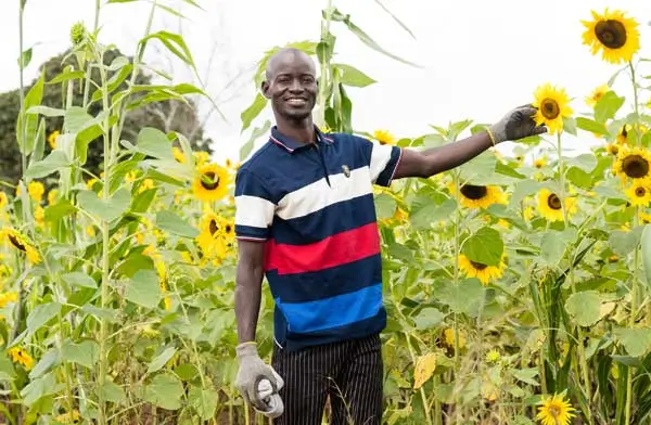 Landwirtschaftsschule Tansania – Lehrer im Sonnenblumenfeld