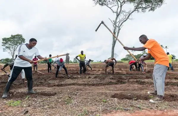Landwirtschaftsschule Tansania – Schüler bei Feldarbeit